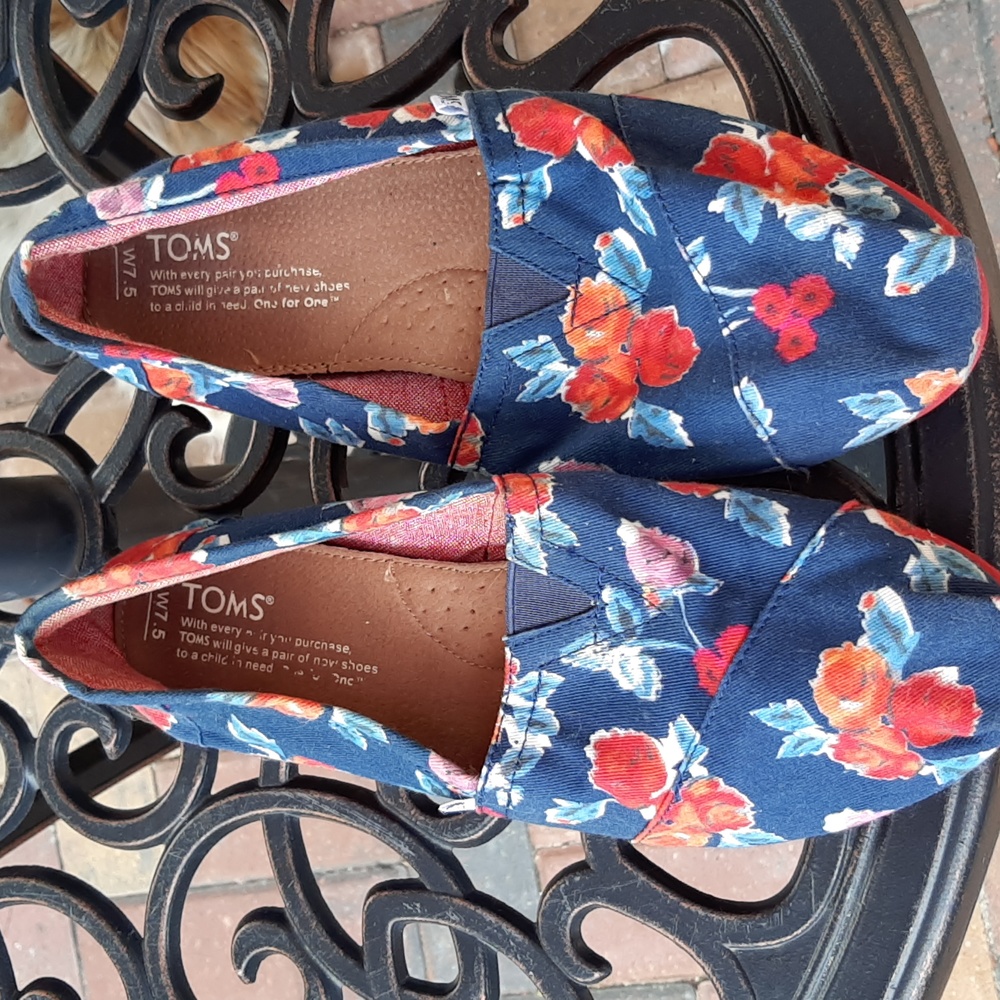 Tom's shoes